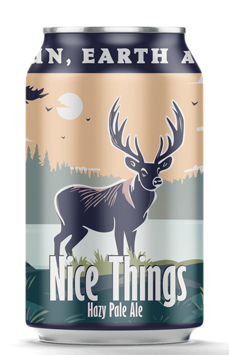 mockup of can of nice things pale ale