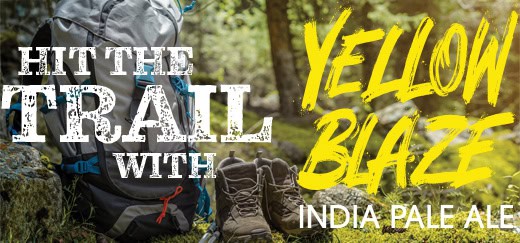 Hit The Trail